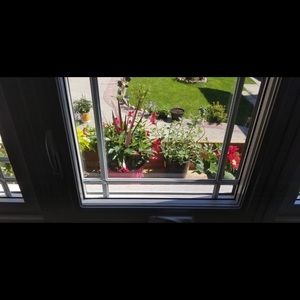 Meet your Posher, Rajpreet